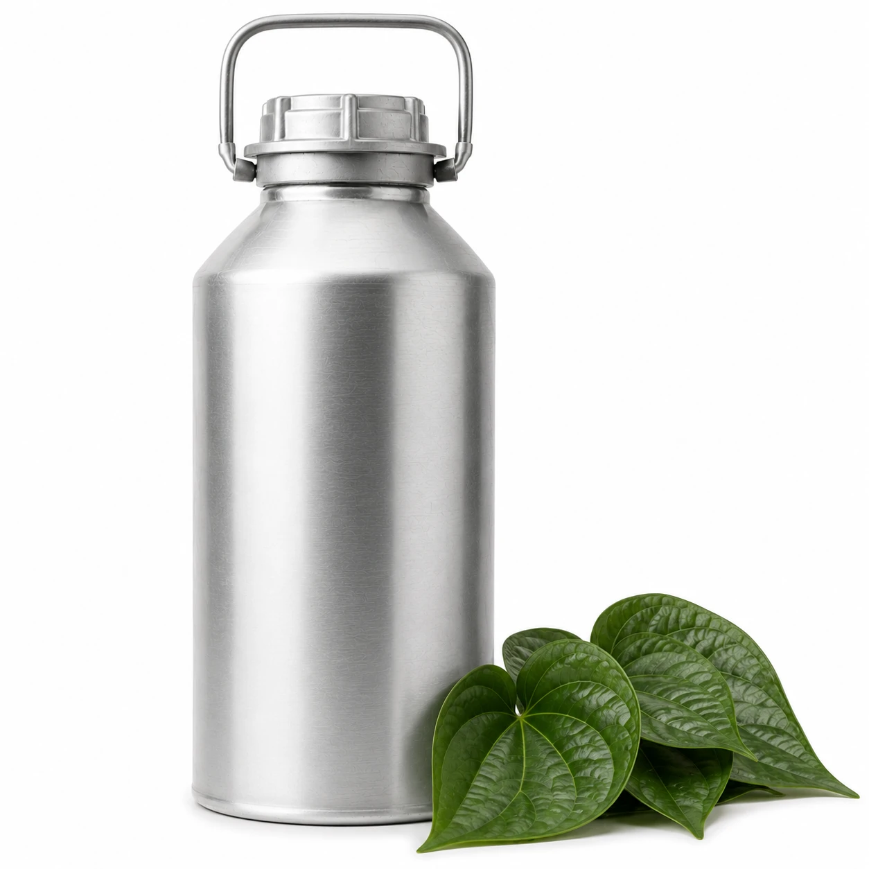 Betel Leaf Essential Oil