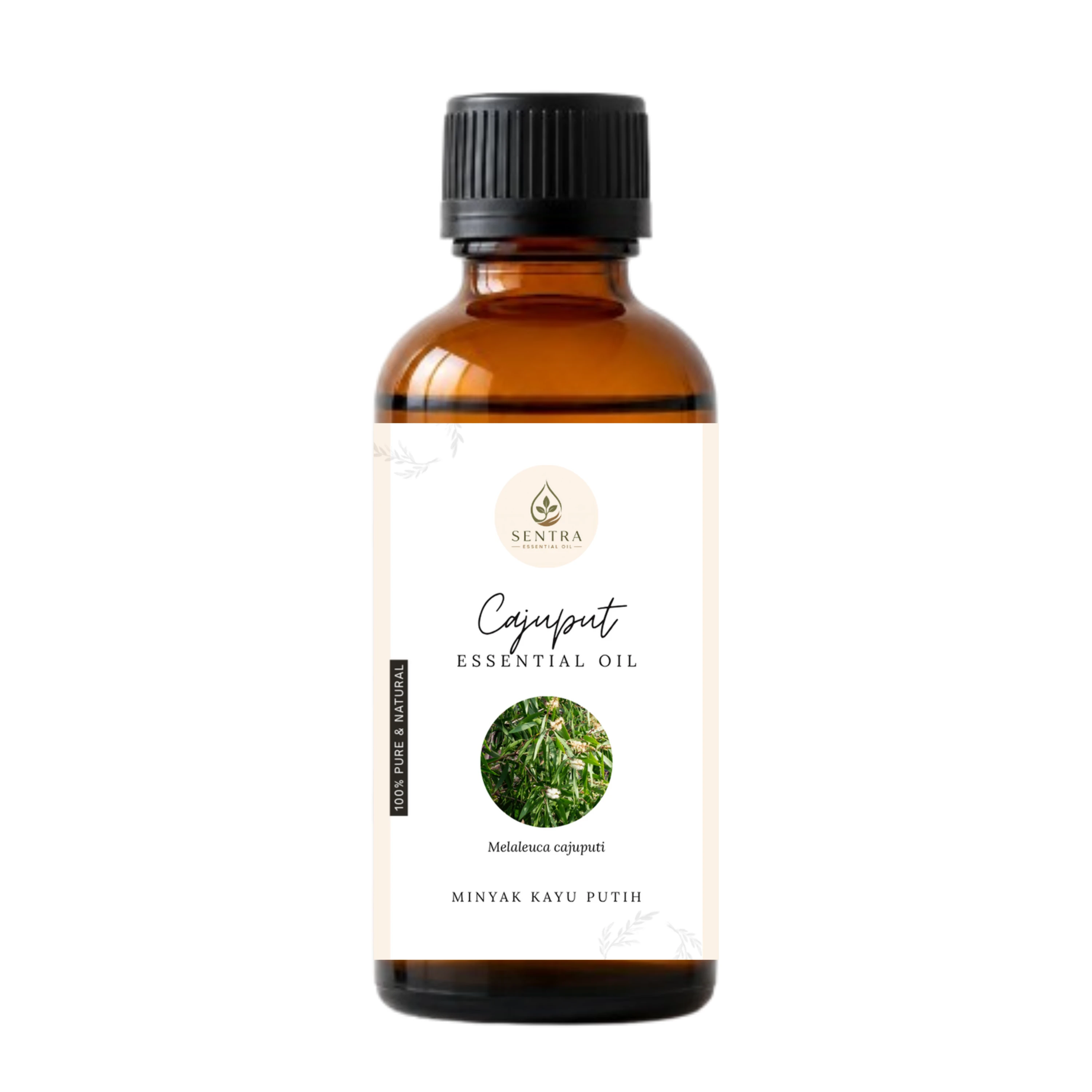 Cajeput Essential Oil