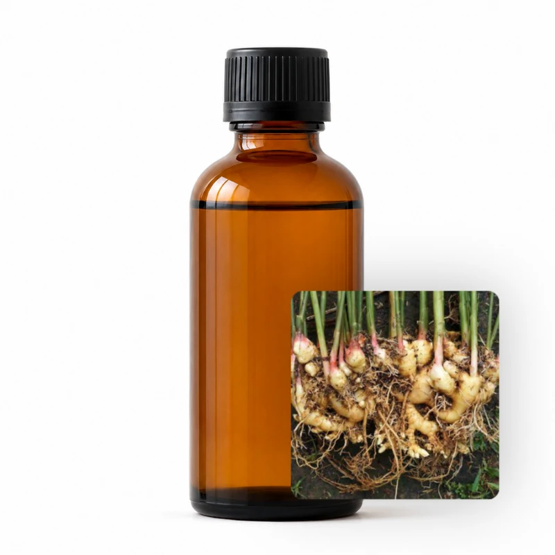 Ginger Essential Oil